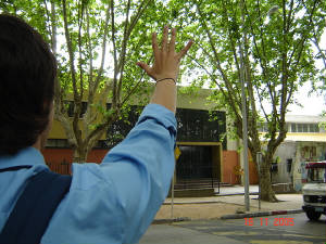 Haz clic para ver las fotos